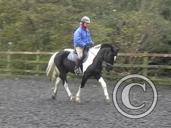 vlcsnap-2012-11-17-17h29m20s35