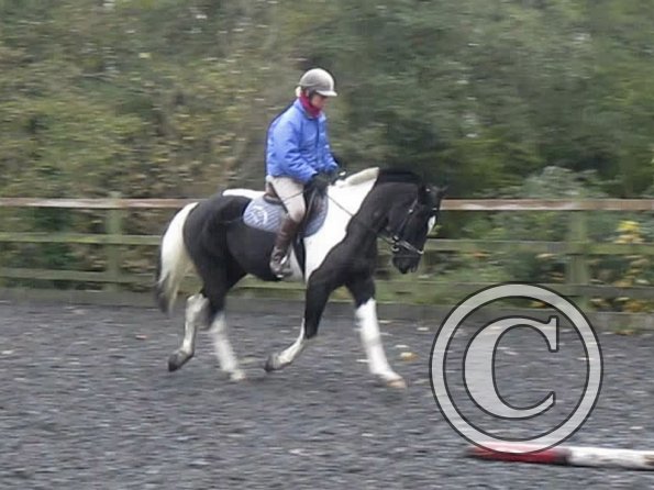 vlcsnap-2012-11-17-17h29m26s109