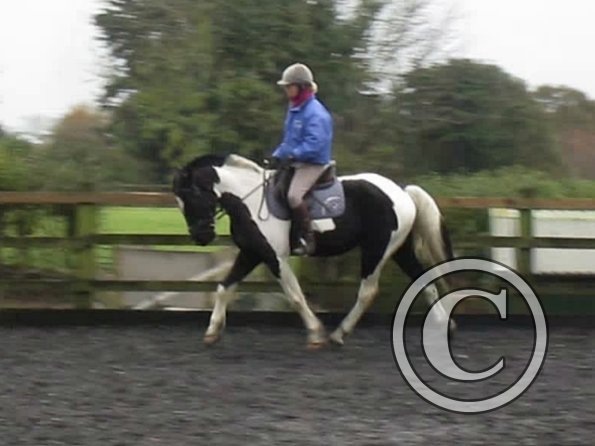 vlcsnap-2012-11-17-17h30m56s205