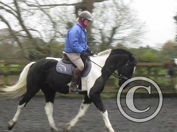 vlcsnap-2012-11-17-17h31m03s63