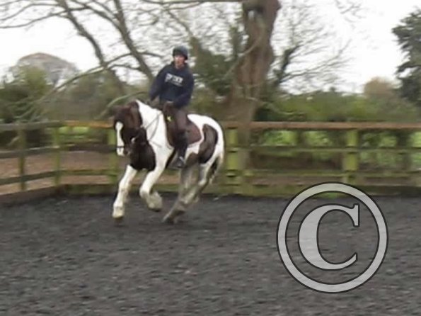 vlcsnap-2012-11-17-17h36m43s118