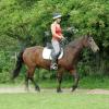 Anna and Dee flatwork (4)