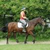 Anna and Dee flatwork (7)