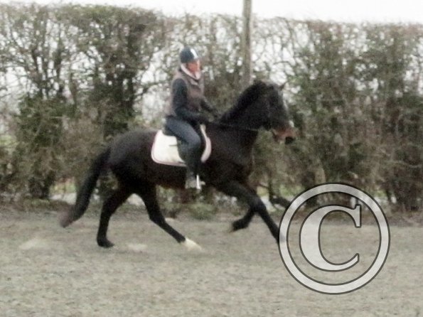 Nikki and Rhi warmup (3)