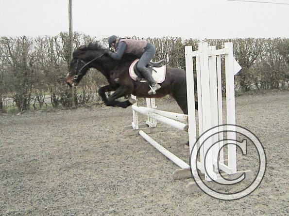 Nikki and Rhi warmup (7)