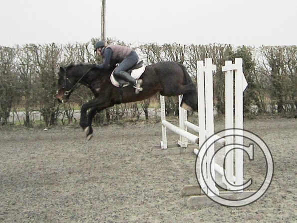 Nikki and Rhi warmup (8)