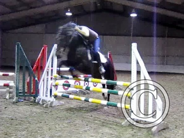 Rhi at Royal Leisure (8)