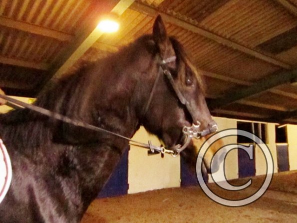 Rhi at Royal Leisure