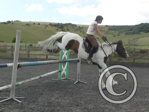 Anna and Lance jumping (5)