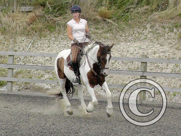 Anna and Lance warming up (2)