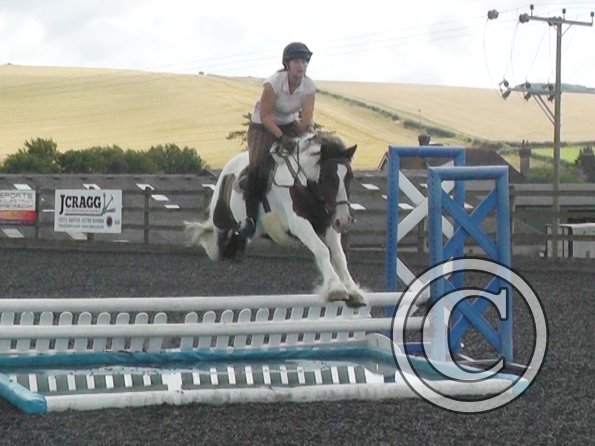 Lance water tray (3)