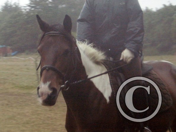 First ride on Mia (11)