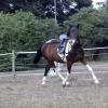 First time lunging Mia (7)