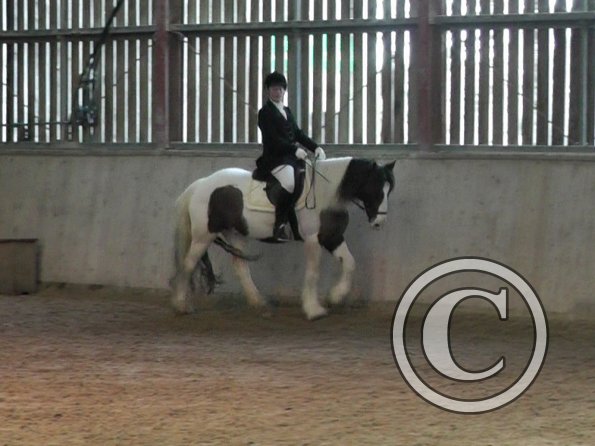 LAnce Novice 28 (10)