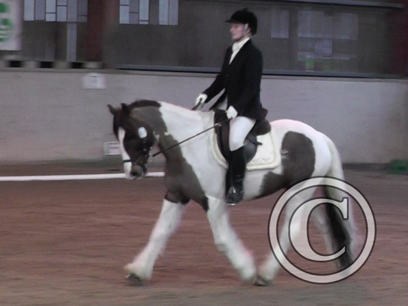 LAnce Novice 28 (12)