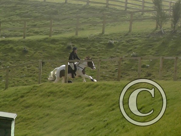 03-12-2016_113625(17)