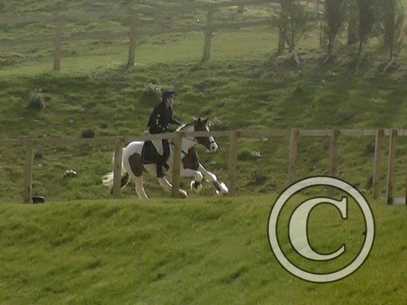 03-12-2016_113625(18)