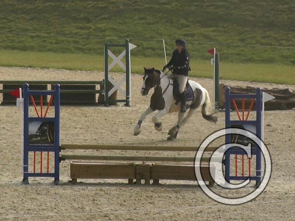 03-12-2016_113625(22)