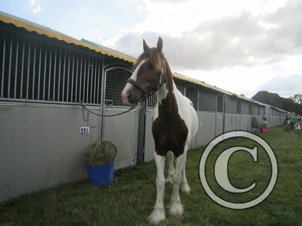 BRC Champs 2015 (111)