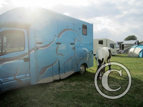 BRC Champs 2015 (127)