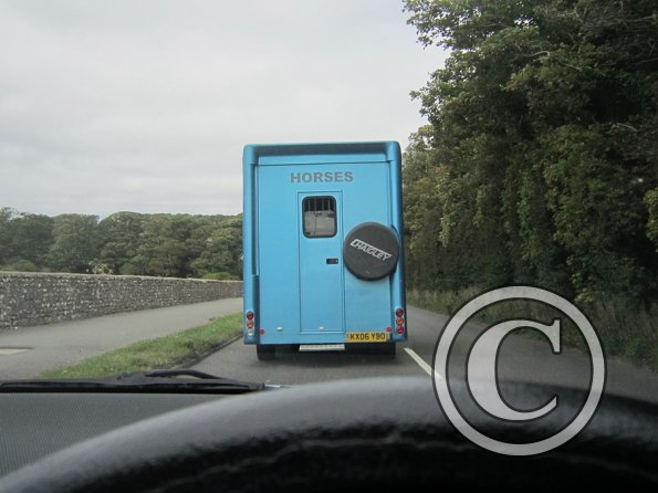 BRC Champs 2015 (134)