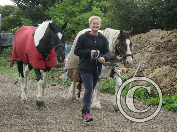 BRC Champs 2015 (20)