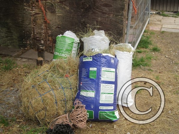 BRC Champs 2015 (21)