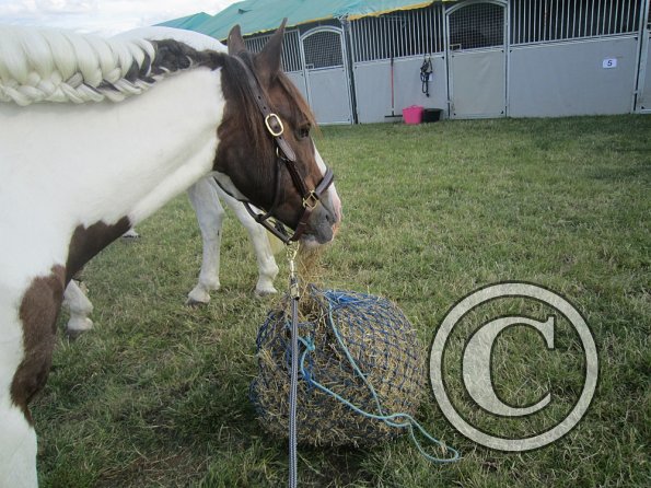 BRC Champs 2015 (25)