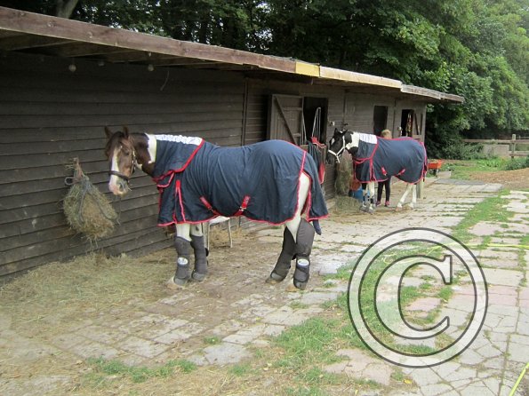 BRC Champs 2015 (27)