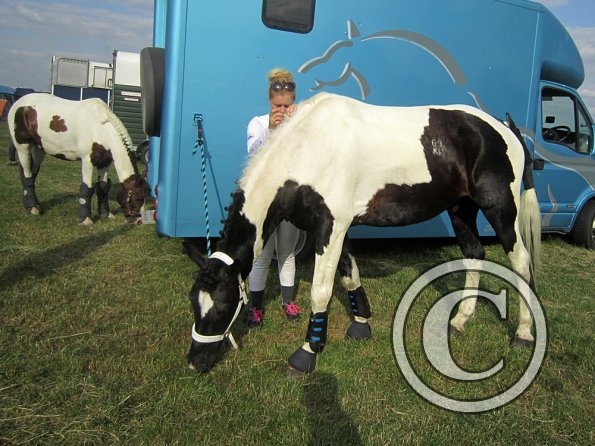 BRC Champs 2015 (29)