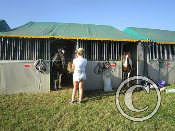 BRC Champs 2015 (33)