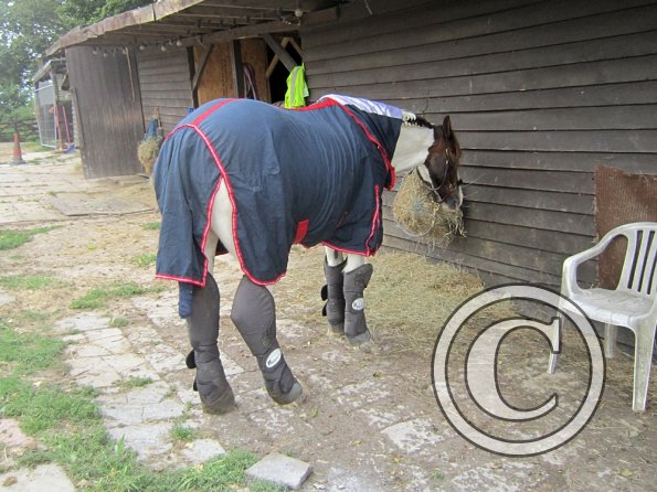 BRC Champs 2015 (34)