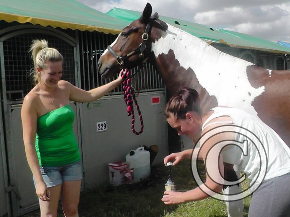 BRC Champs 2015 (60)