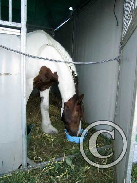 BRC Champs 2015 (66)