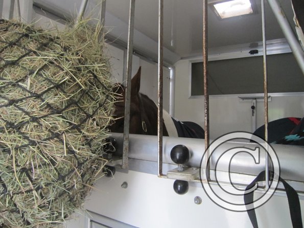 BRC Champs 2015 (70)