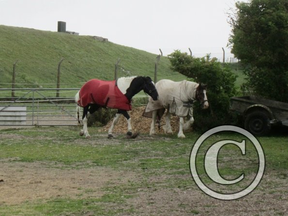 BRC Champs 2015 (86)