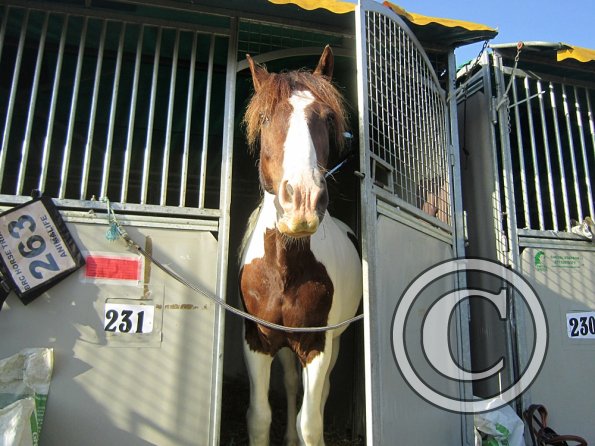 a Getting ready (10)