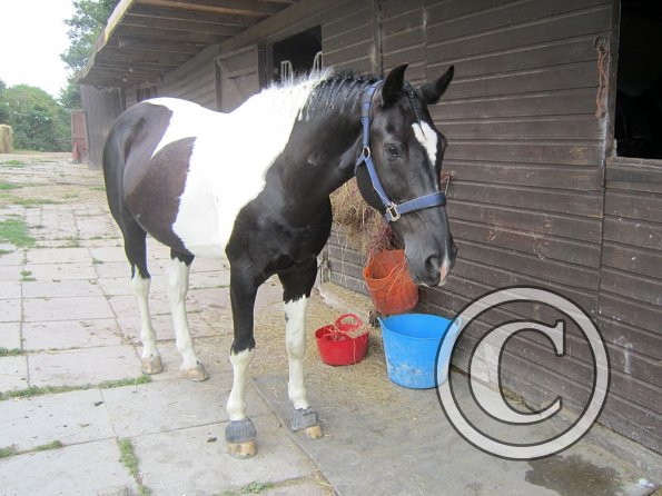 a Getting ready (12)