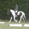 c Lance Dressage (1)