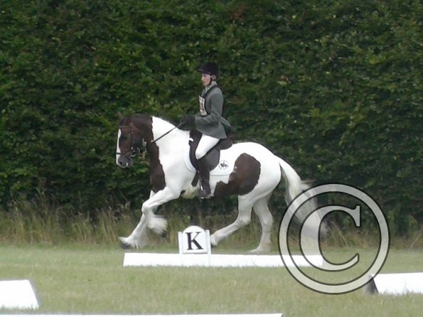 c Lance Dressage (2)