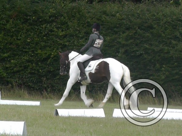 c Lance Dressage (3)