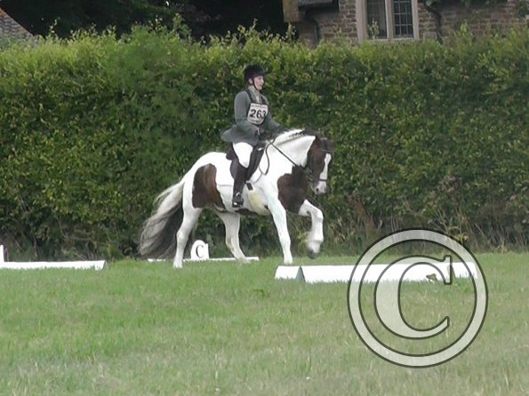 c Lance Dressage (5)