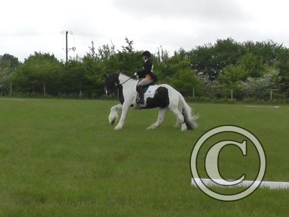 05-21-2016_095754(2)