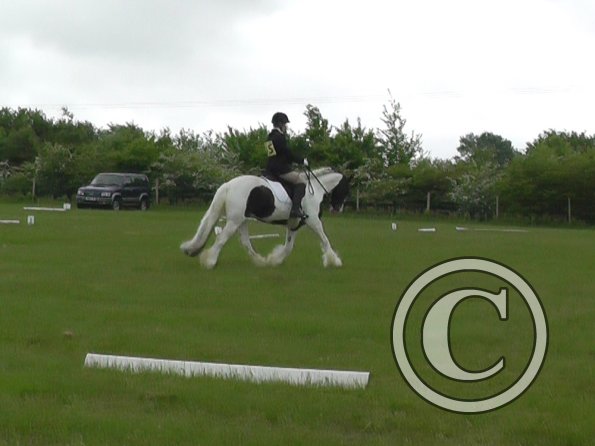 05-21-2016_095754(4)