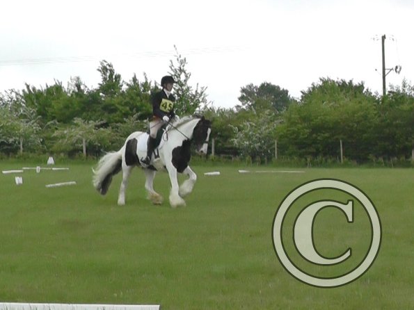 05-21-2016_095754(5)