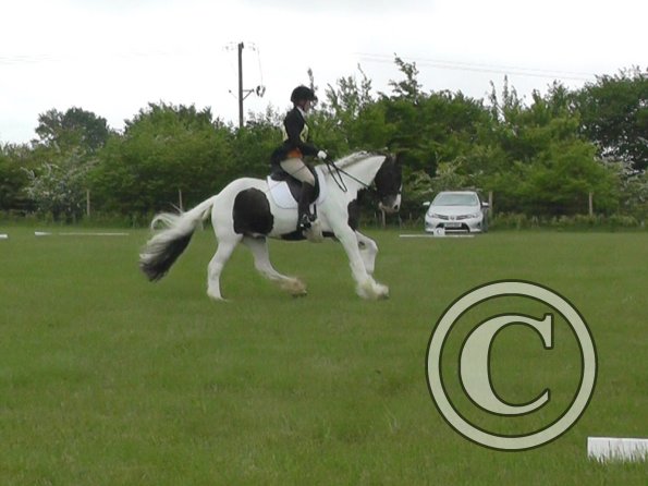 05-21-2016_095754(6)