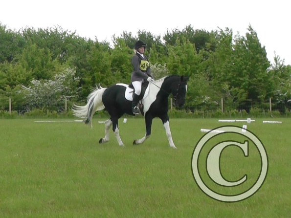 05-21-2016_100406(1)