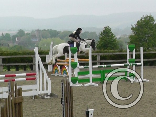 05-21-2016_121752(7)