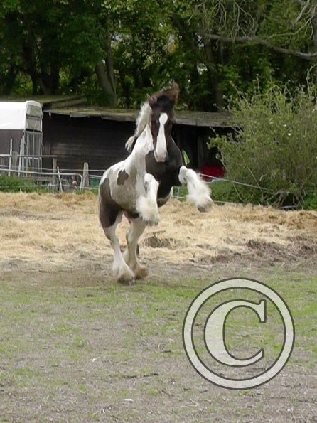 05-21-2016_160810(5)