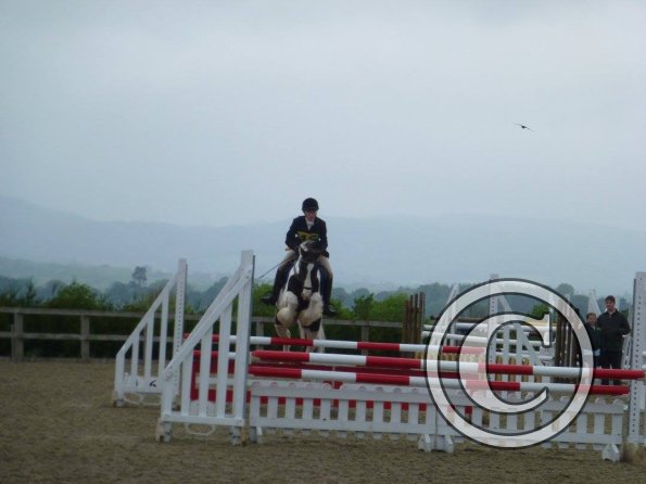 13227275_1141170969282442_7534761440535520039_o